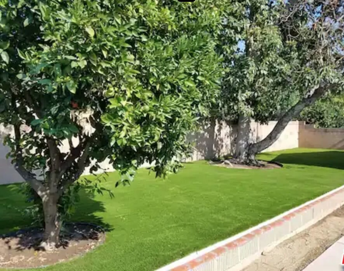 Backyard 4 - 335 S California St