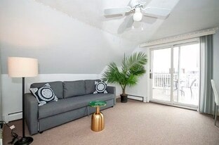 Building Photo - 243 Princeton St