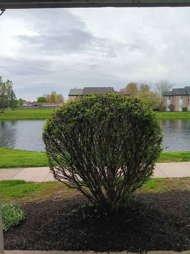 Building Photo - Beautiful 2-bedroom 1 bath apartment DOWNS...