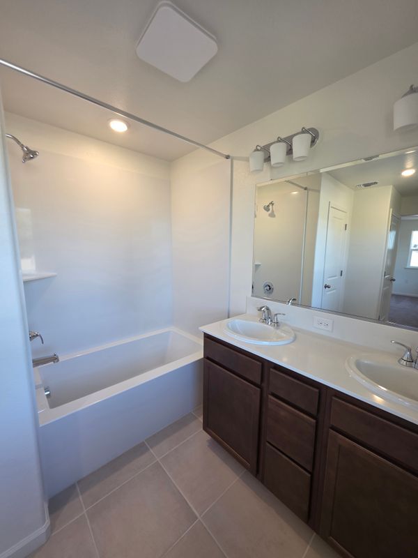 Building Photo - 2386 Satin Leaf Ct