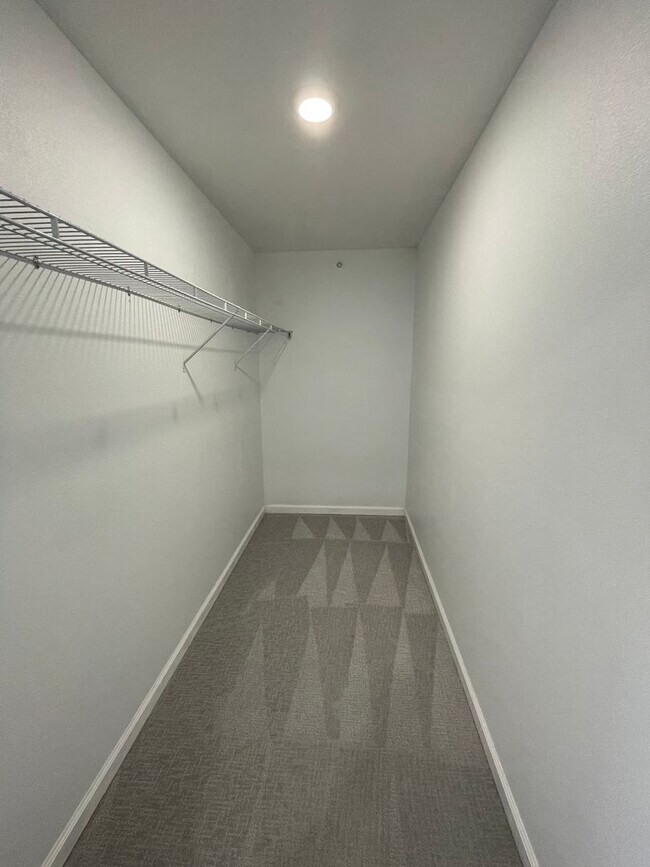 Building Photo - Super Cute Studio