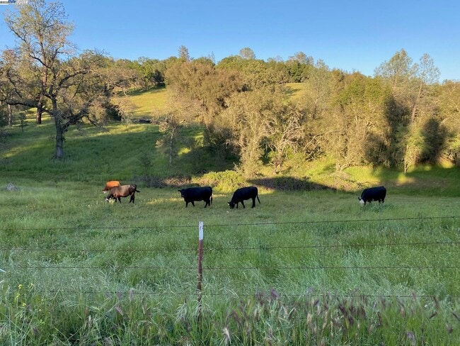 Building Photo - 17 Raggio Rd