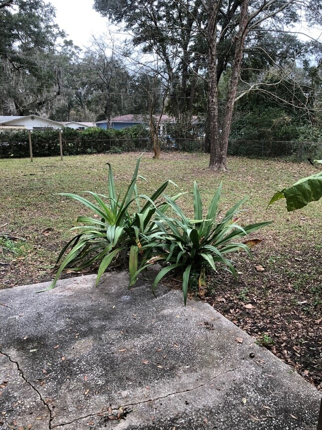 Building Photo - Great Family Home