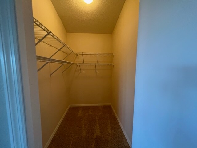 Building Photo - 645 W Sunbird Path