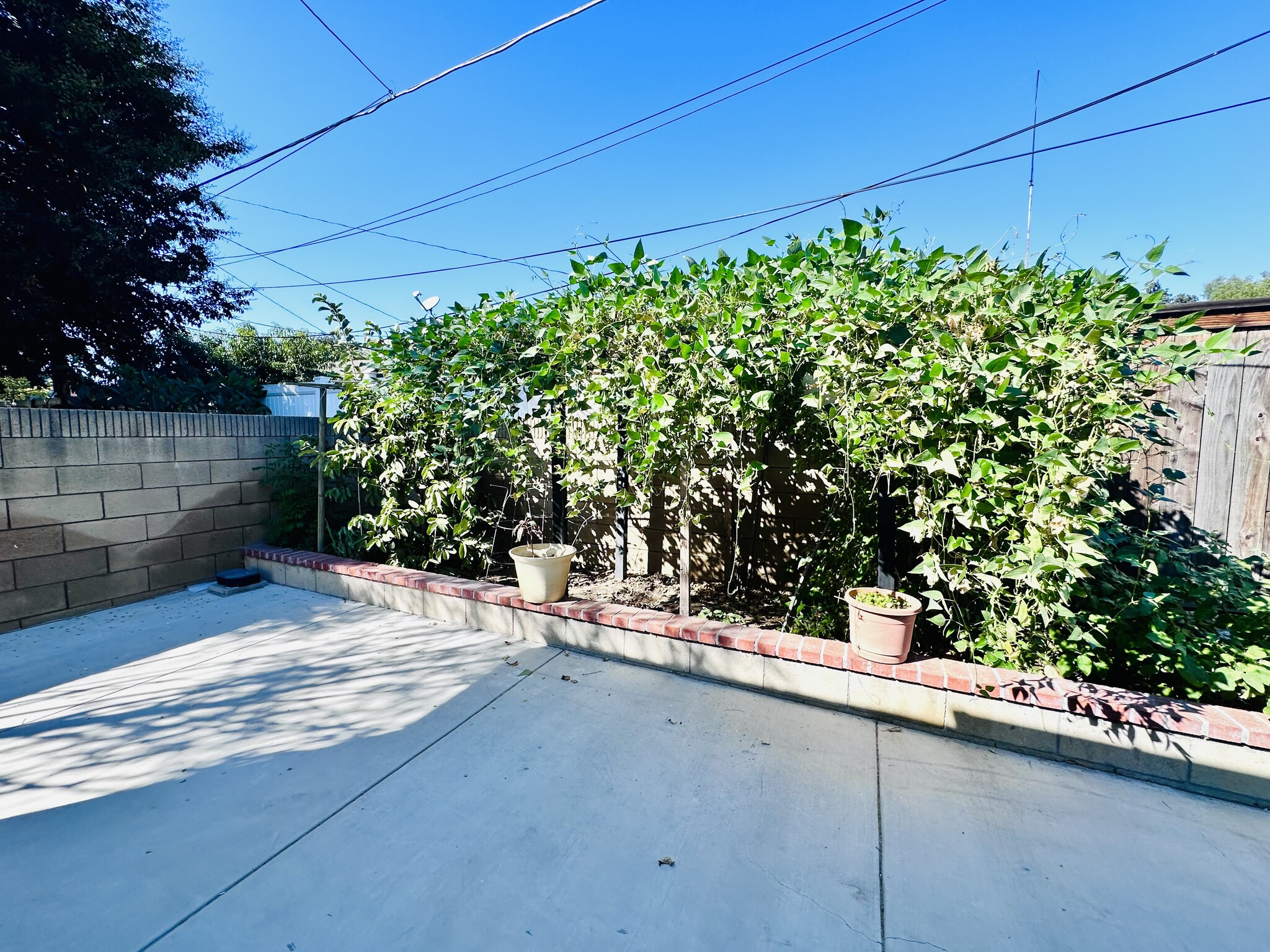 Building Photo - 2621 Wallace Ave