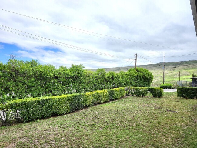 Building Photo - Ben &amp; Amy Tamura Irrevocable Trust - F...