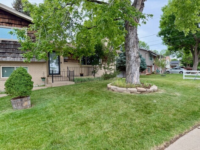 Building Photo - Park-like Yard, Updated Home