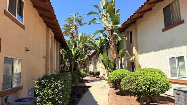 Building Photo - 6019 Rancho Mission Rd