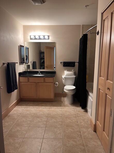 master bath - 333 W Mifflin St