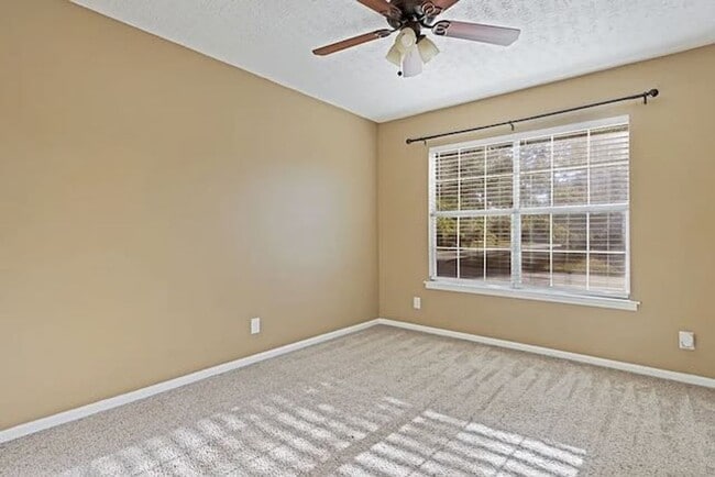 Building Photo - 12 Brown Thrasher Ct