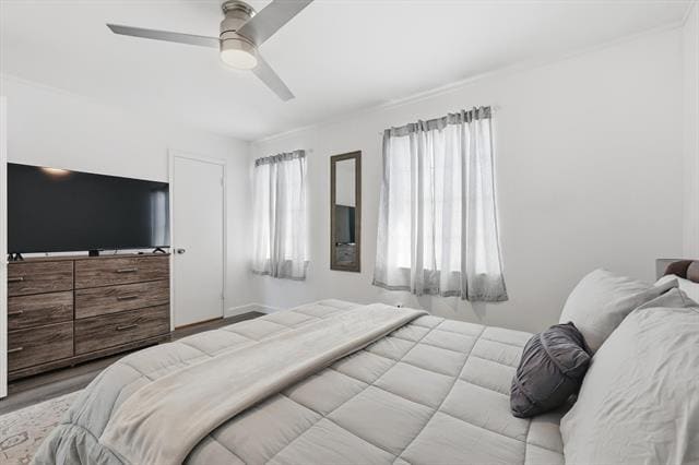 Building Photo - 9829 Park Ln Ct