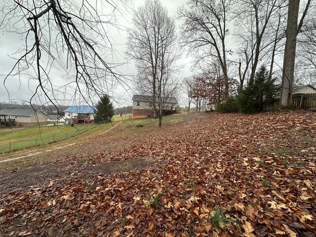 Building Photo - 4 Bedroom/3 Bathroom House in Piney Flats, TN