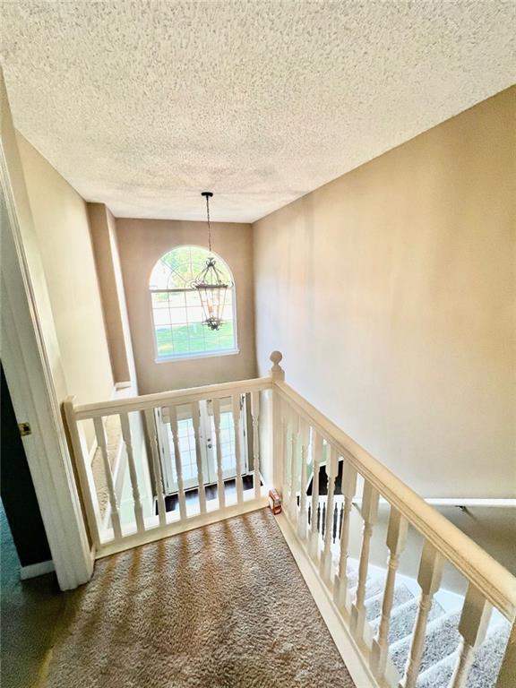 Building Photo - 3104 Mineral Ridge Ln