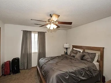 Building Photo - 627 Kimberlite St