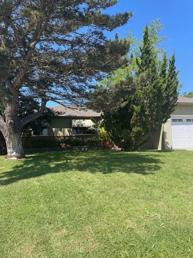 Primary Photo - Charming 3 Bedroom Home on a Quiet Tree-Li...