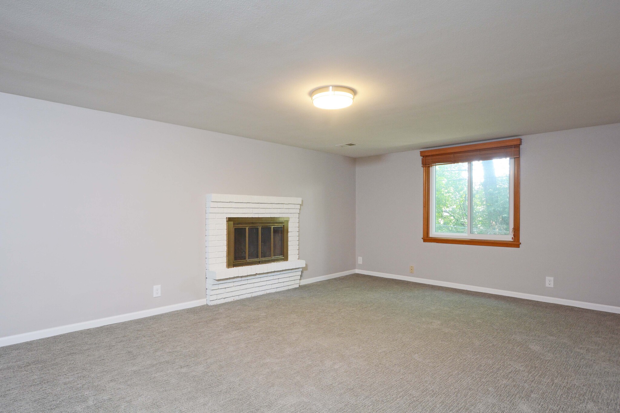 Bright lower level family room featuring brand new carpet - 5206 Grandview Ln