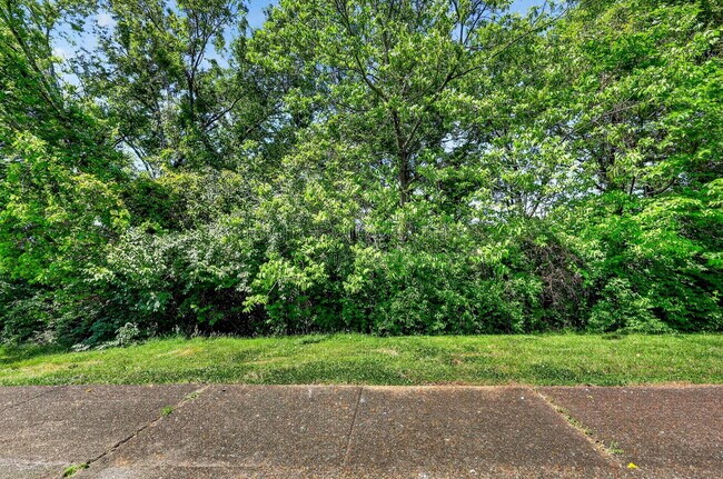 Building Photo - 437 Carver Ln