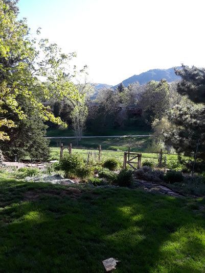 Building Photo - 686 Partridge Cir