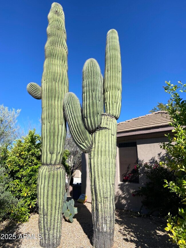 Building Photo - 6867 E Crimson Sky Trail