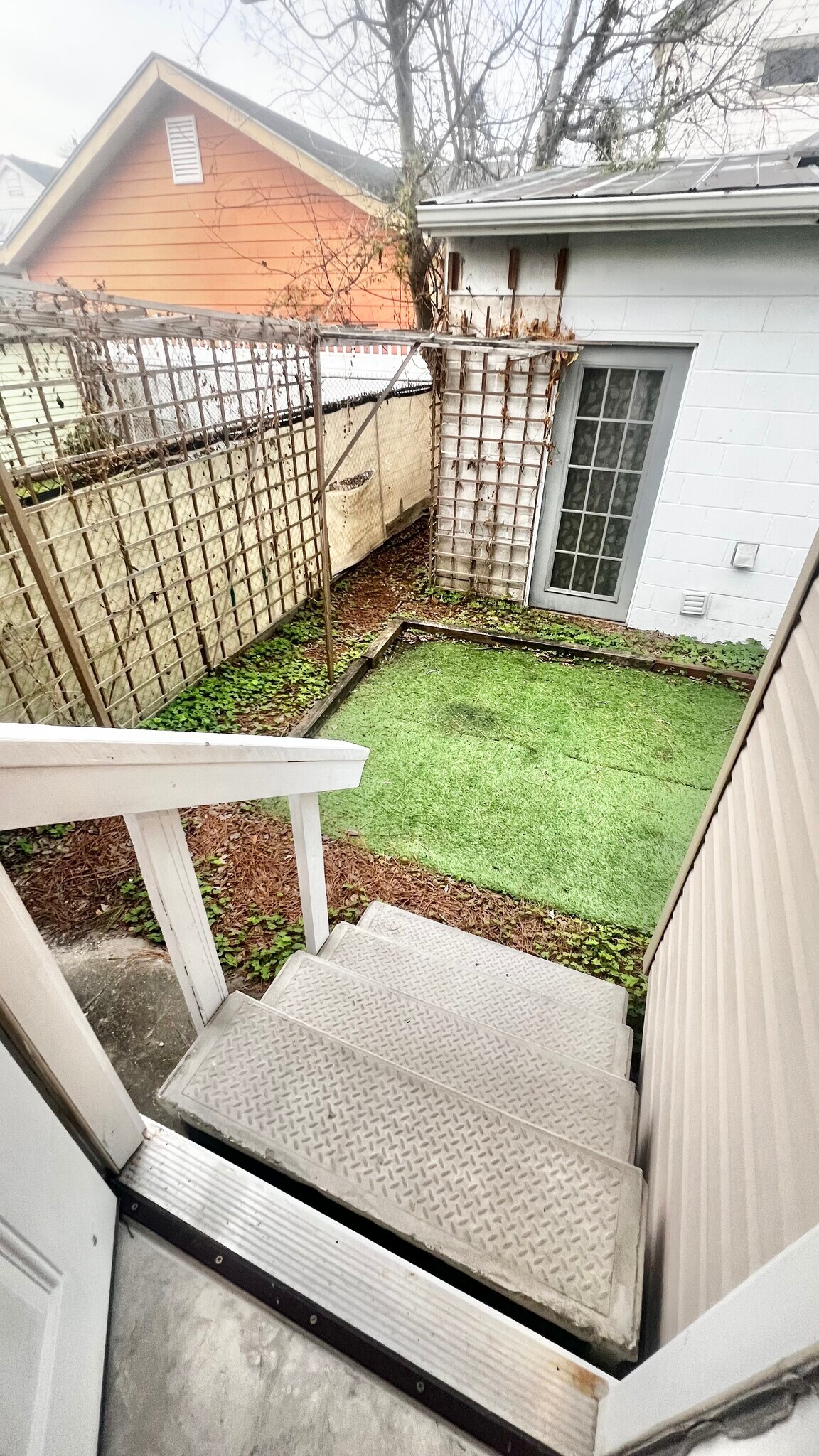 Backyard - 2483 Verbena St