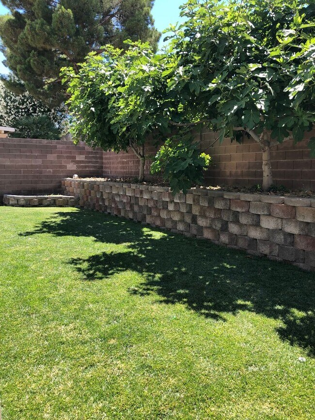Building Photo - Charming 3 bedroom Green Valley home