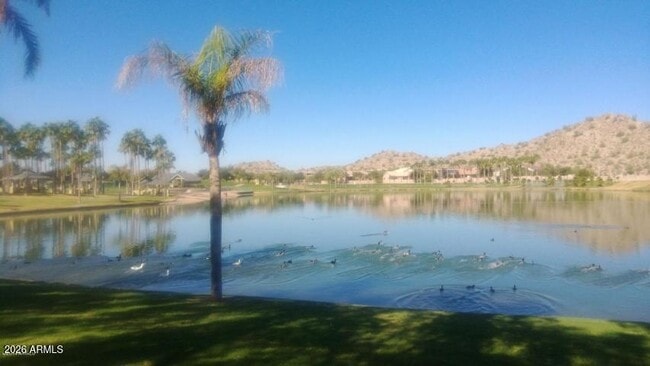 Building Photo - 11199 Fiesta Ct