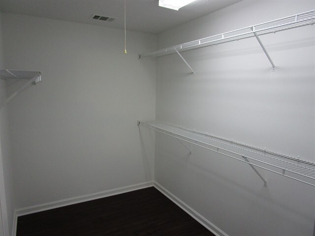 Building Photo - 2433 Green Hollow Ct
