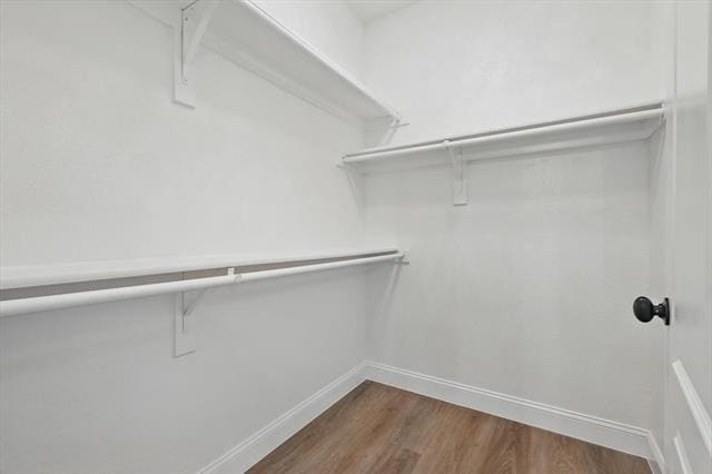 Building Photo - 924 Charleston Ln