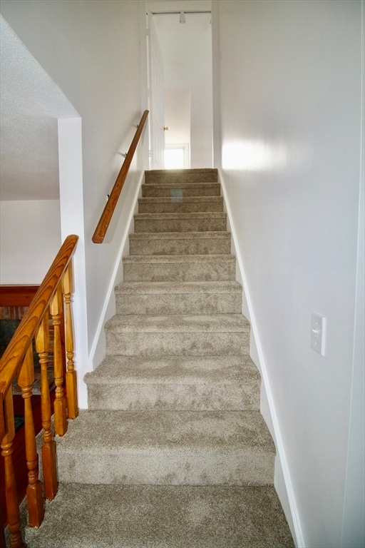 Building Photo - 49 Mount Pleasant St