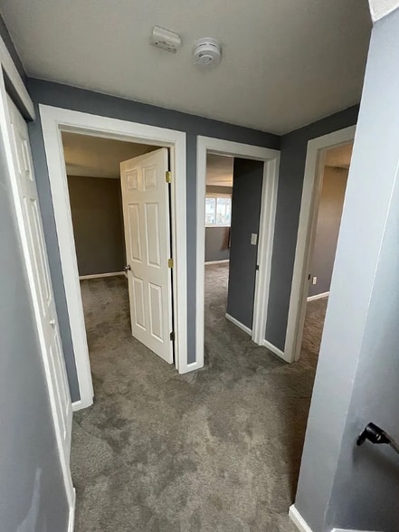 Building Photo - 260 Evaline St