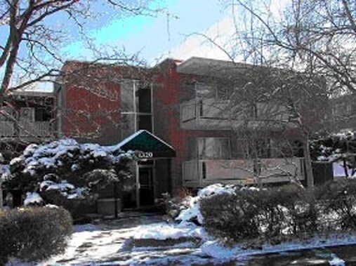 University Heights Apartments - The Maples