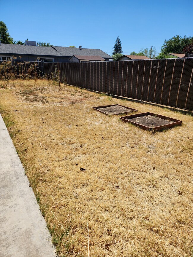 backyard - 1994 Baugh St
