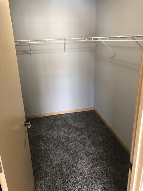 Building Photo - 6048 Driscoll Dr