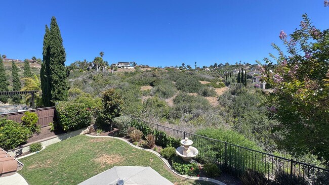 Building Photo - Luxury 4 Bedroom Home in La Costa Greens