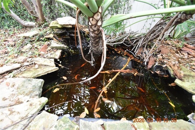 Building Photo - 571 Luzon Ave