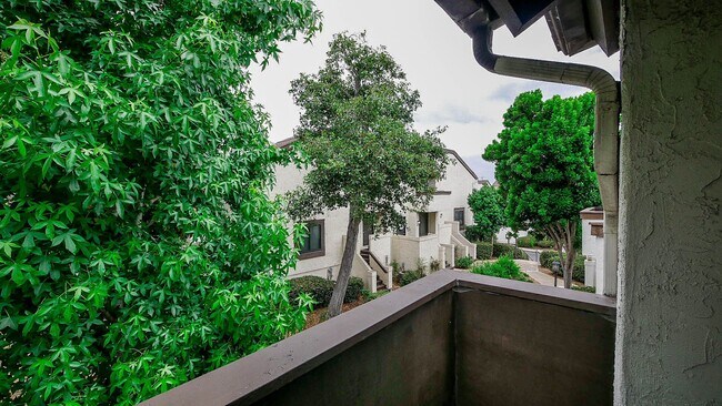 Building Photo - Stylish Sea Colony 3-Level Townhome!