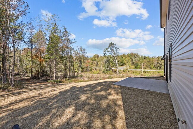 Building Photo - Stunning New Build!