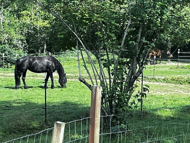 Building Photo - 13620 Batten Rd NE