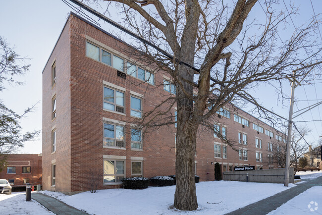 Primary Photo - Walnut Place