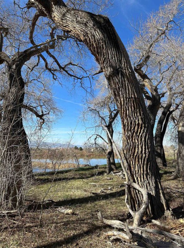 Building Photo - 68 Martinez Rd