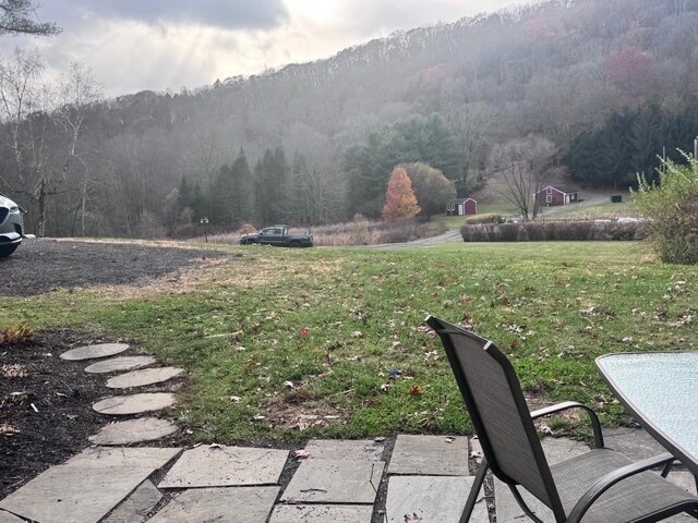 Yard - 505 Lakeside Rd