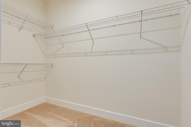 Building Photo - 2546 Buckthorn Dr