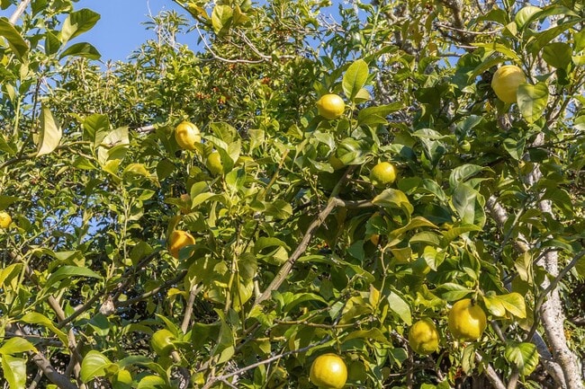 Building Photo - 20 Gilmartin Dr