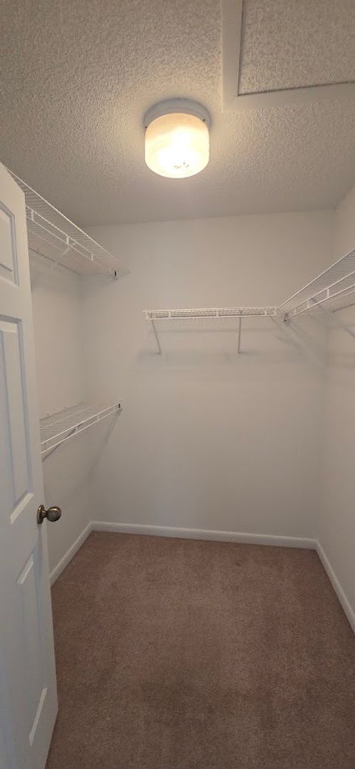 Building Photo - 3 Bed, 2 Bath, 2 Car garage.