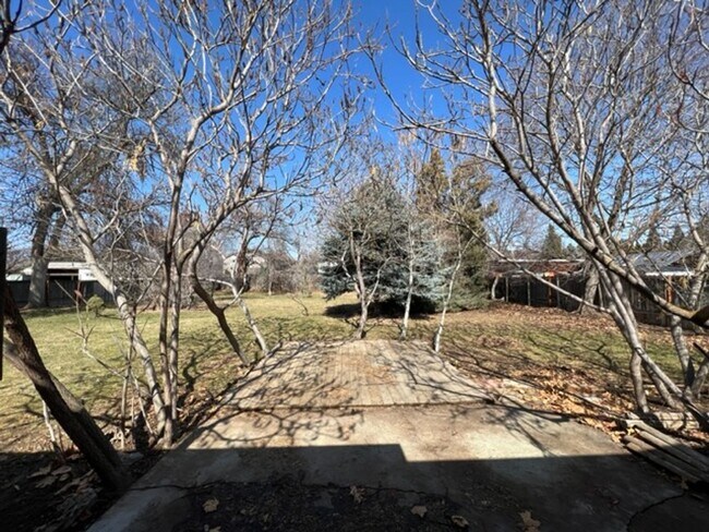 Building Photo - Bi-Level House w/ Massive Backyard, Storage, & Character!