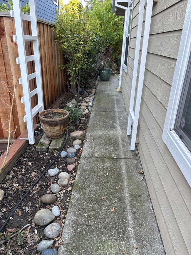 Building Photo - "Beautiful 3-Bed Home in Walnut Creek with...