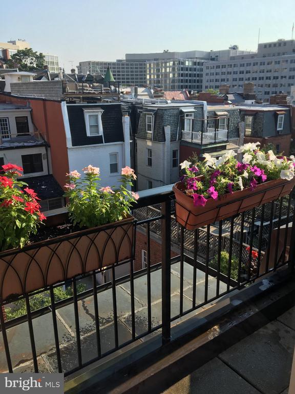 Building Photo - 2125 S St NW