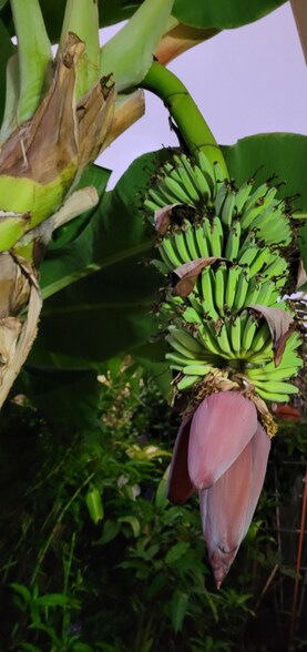 Building Photo - 2407 Saint Louis Dr