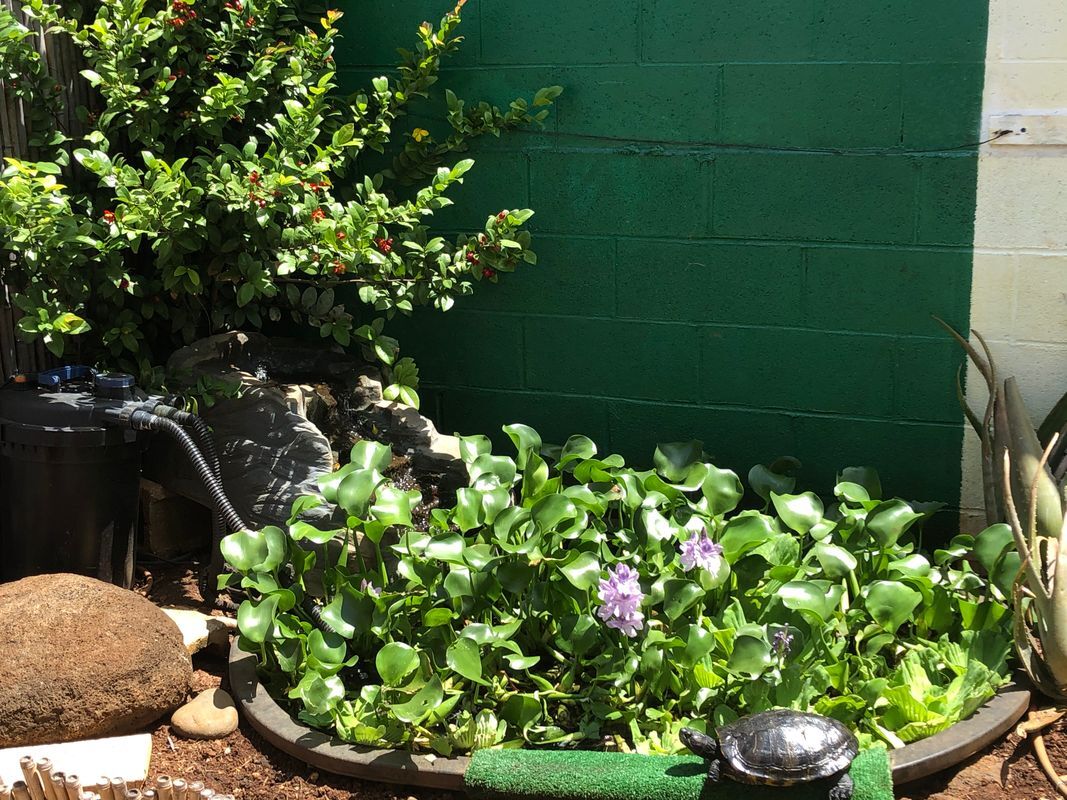 Building Photo - 1125A 2nd Ave