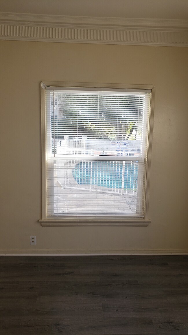 pool view from entry - 11043 Ophir Dr